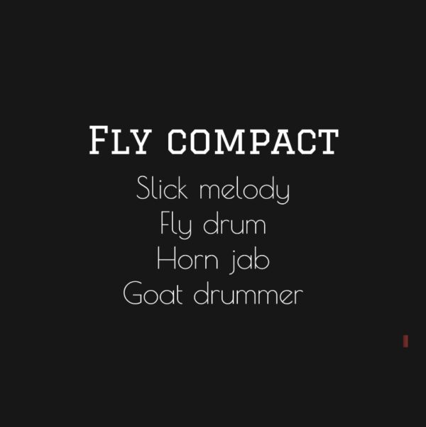 Fly compact bundle
